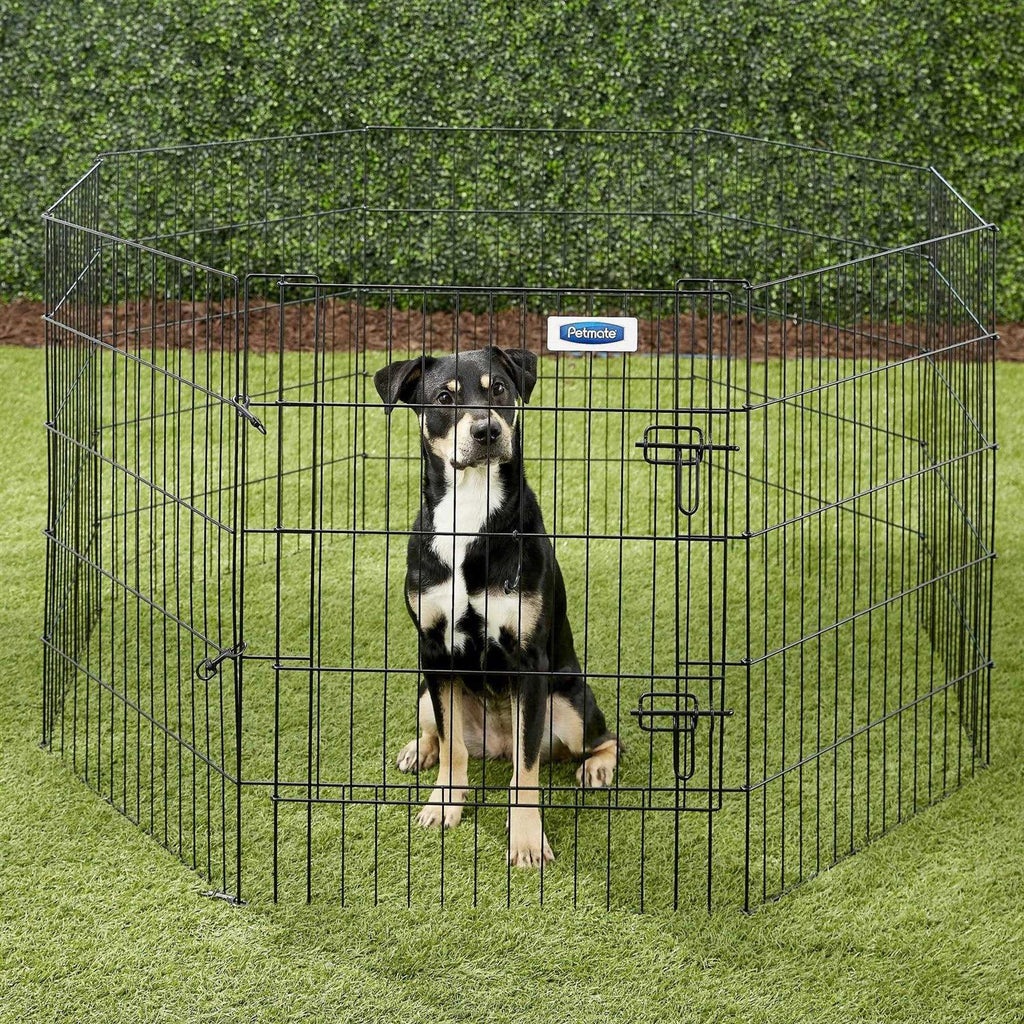 Exercise Pen with Door D118574