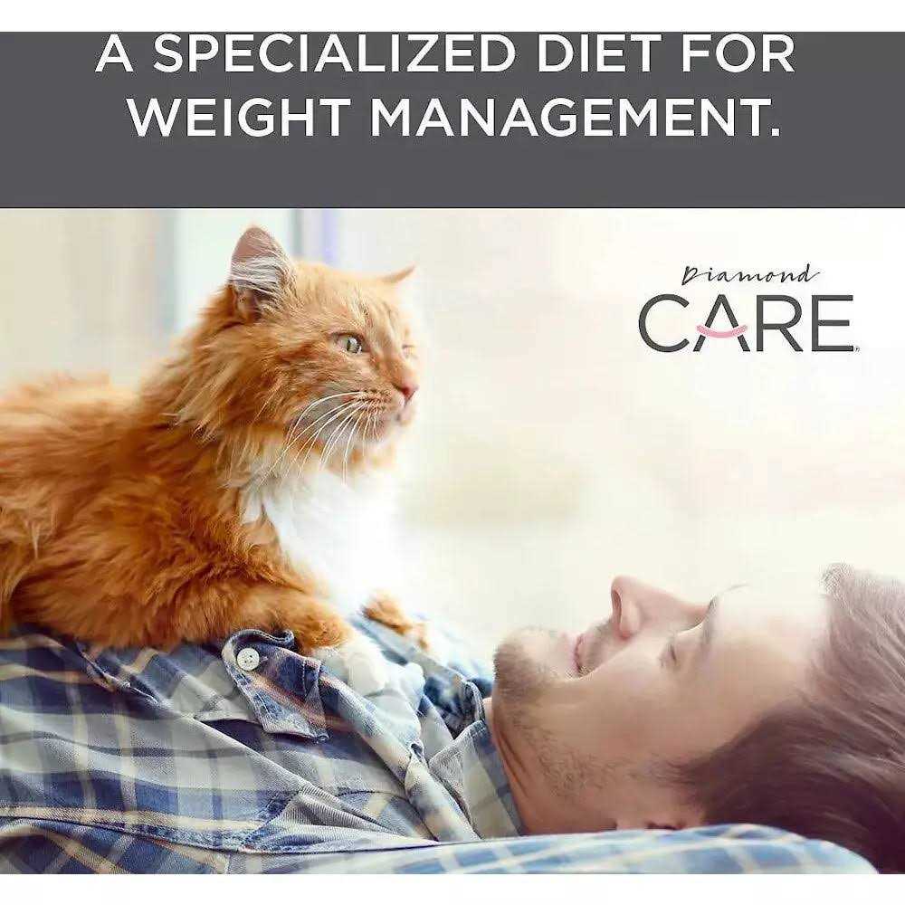 Adult Dry Cat Food C7818