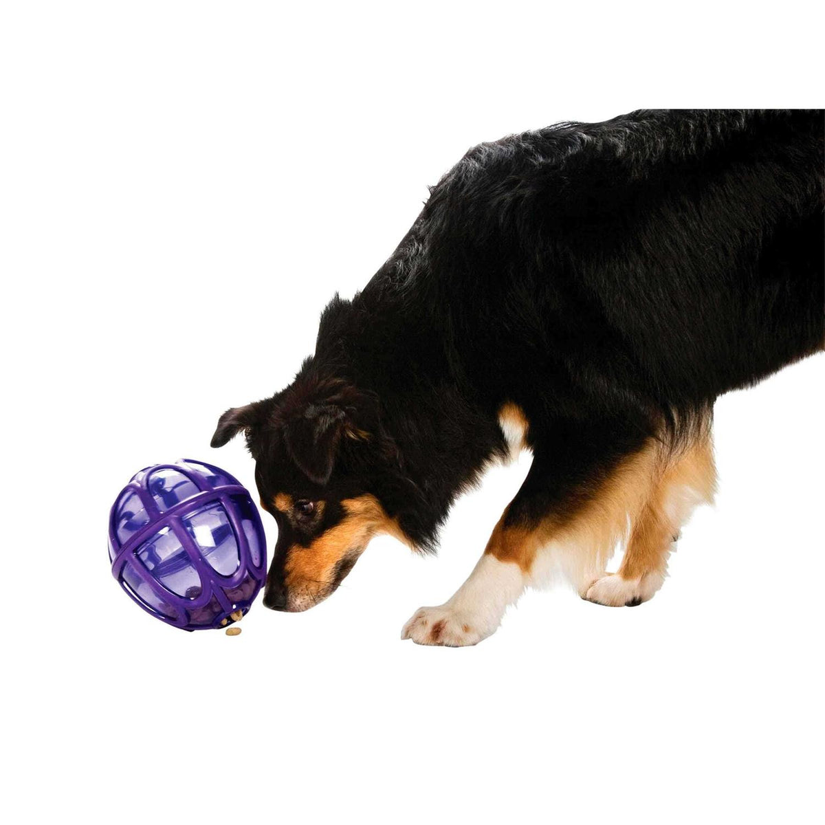Kibble Nibble Dog Toy G6864