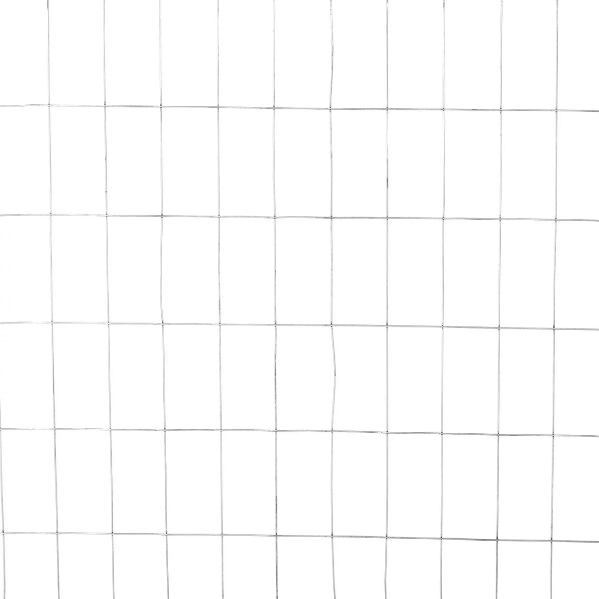 14 Gauge Galvanized Welded Wire Mesh 2 inch by 4 inch 5 ft. x 50 ft. R15063