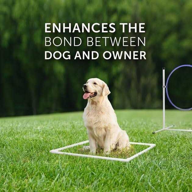 7 Piece Dog Agility Equipment Set O364150