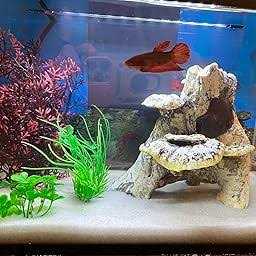 Plastic 7 Pieces Artificial Fish Tank Decor Set M798340