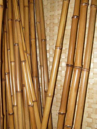 Natural Bamboo Stakes Bulk (250/Bale) E550360