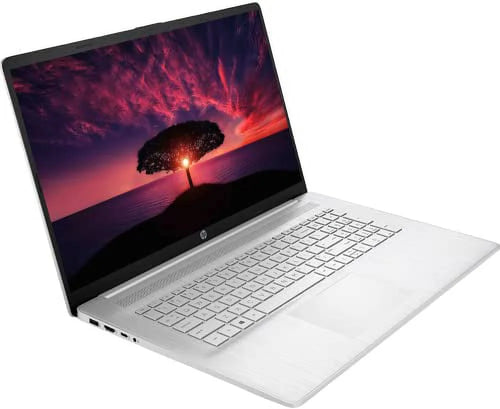 17.3" HD Touchscreen Laptop, AMD Ryzen 5-5500U, Windows 11 Pro, 16GB RAM, 512GB SSD+1TB HDD D25324