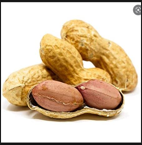 In-Shell Peanuts Wild Animal Food 25 Pound Bag Pack of 2 P15345