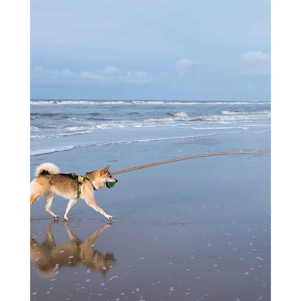 Long Dog Leash Reflective 10FT/16FT/30FT/50FT/100FT J54881