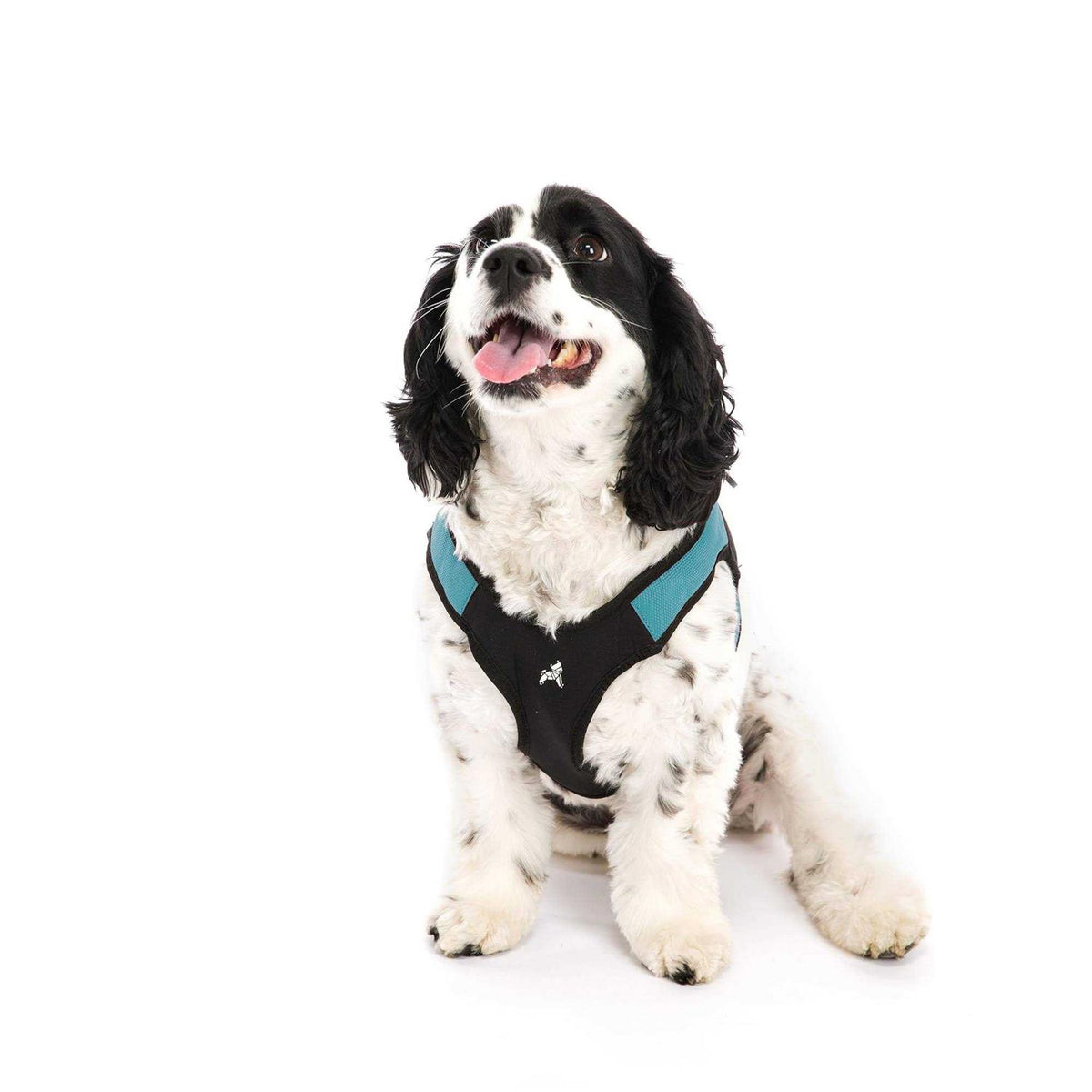 Dog Harness B123506