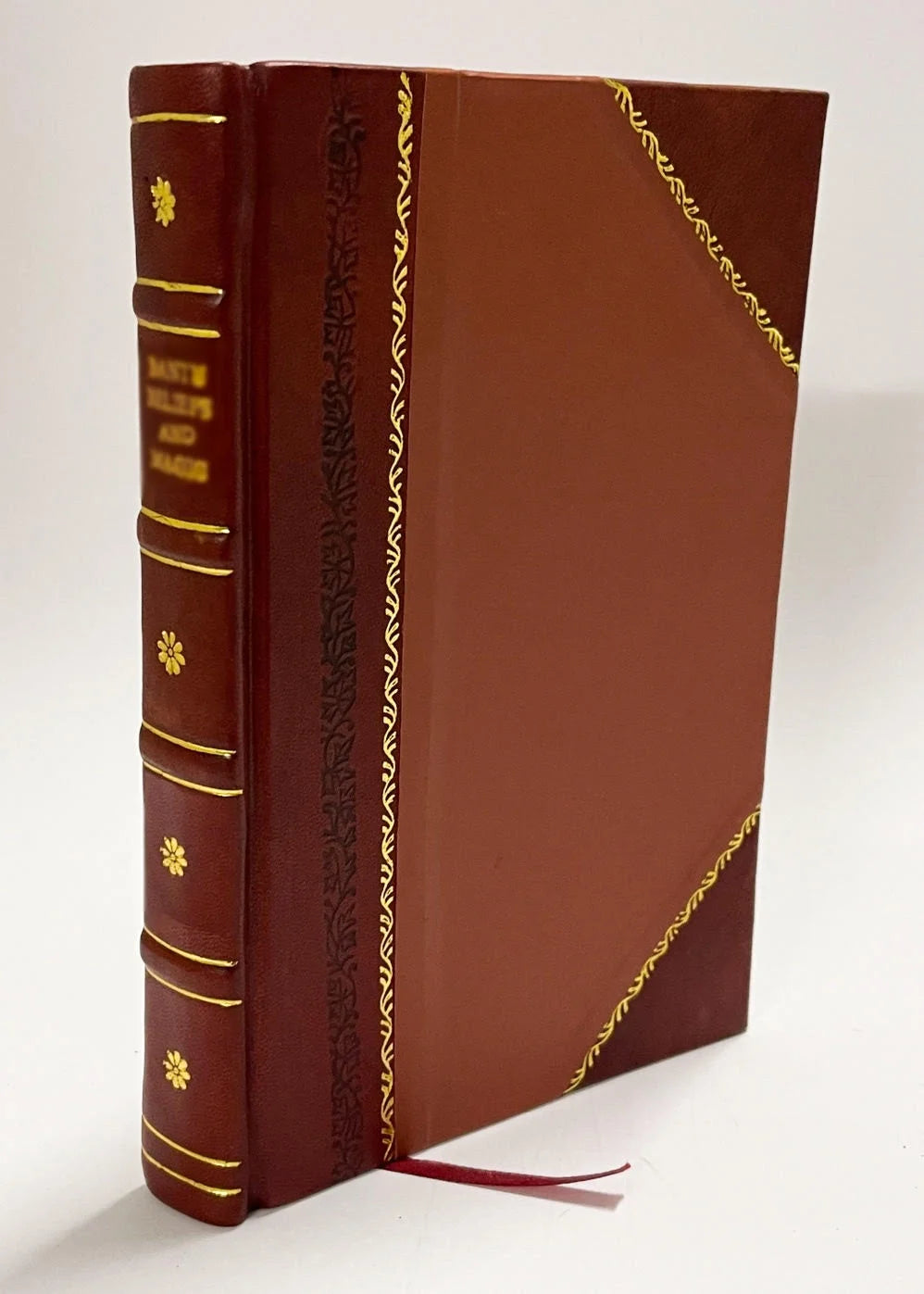 Leather Bound Book E20166