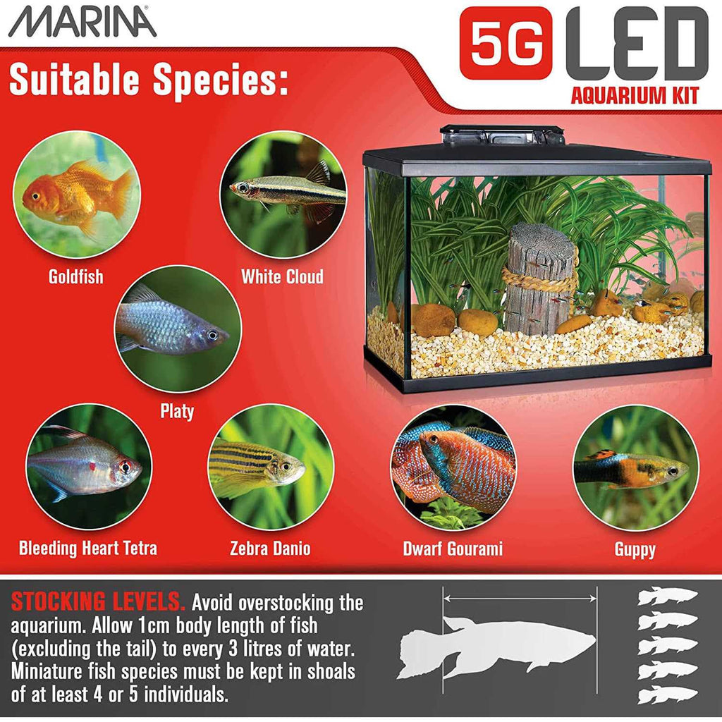 LED Glass Aquarium Kit J8982