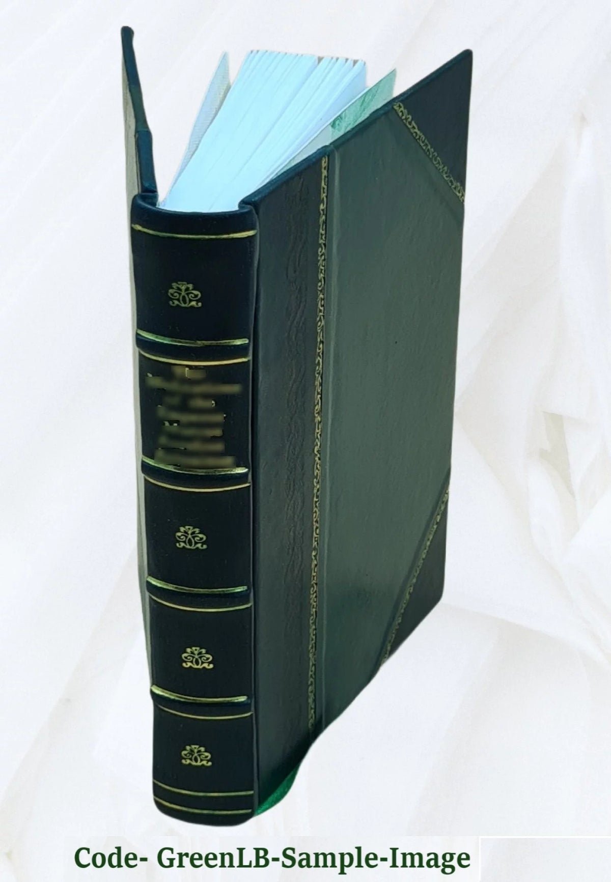 Clay Deposits of Woodbridge South Amboy New Jersey 1878 Leather Bound O953121