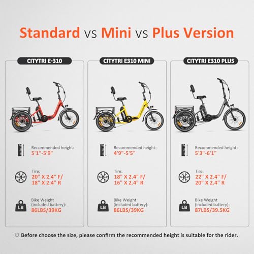 Folding Electric Tricycle, 750W, 48V 20Ah, 3 Wheel, Step Through, Parking Brake, Rear Motor & Differential P26091