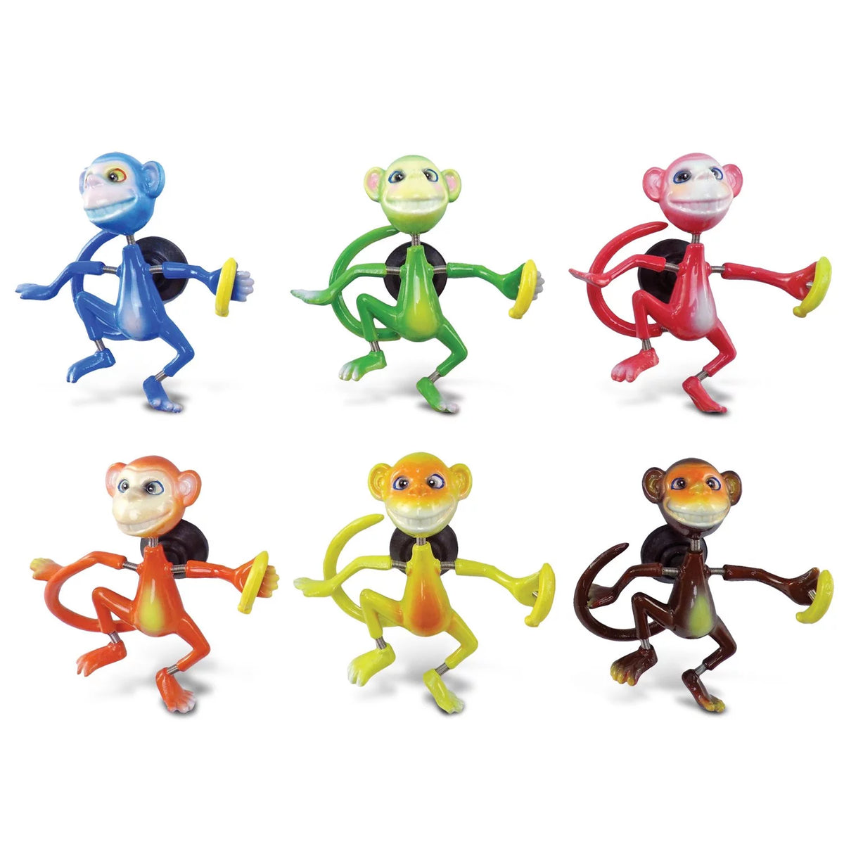 Set of 6 Assorted Color Animal Bobble Magnets V2777