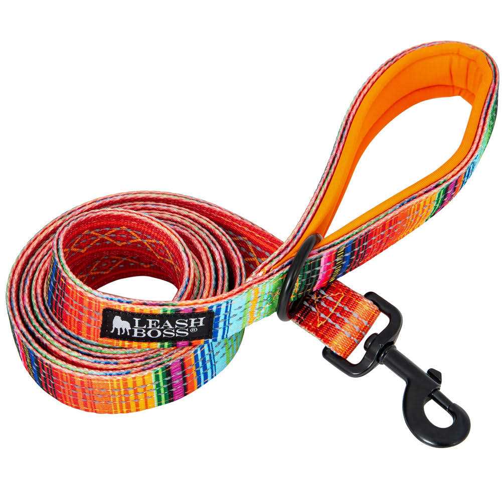 6ft Dog Leash Padded Handle L986671