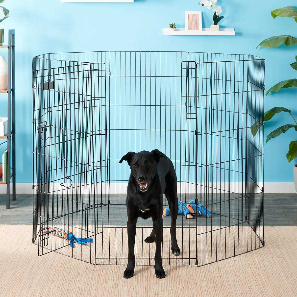 Exercise Pen with Door D118574
