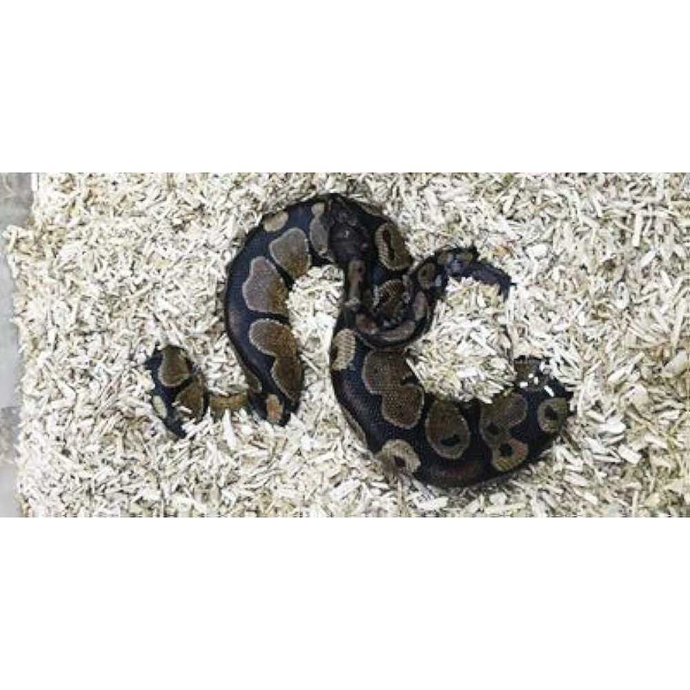 Hemp Small Animal Bedding H70858