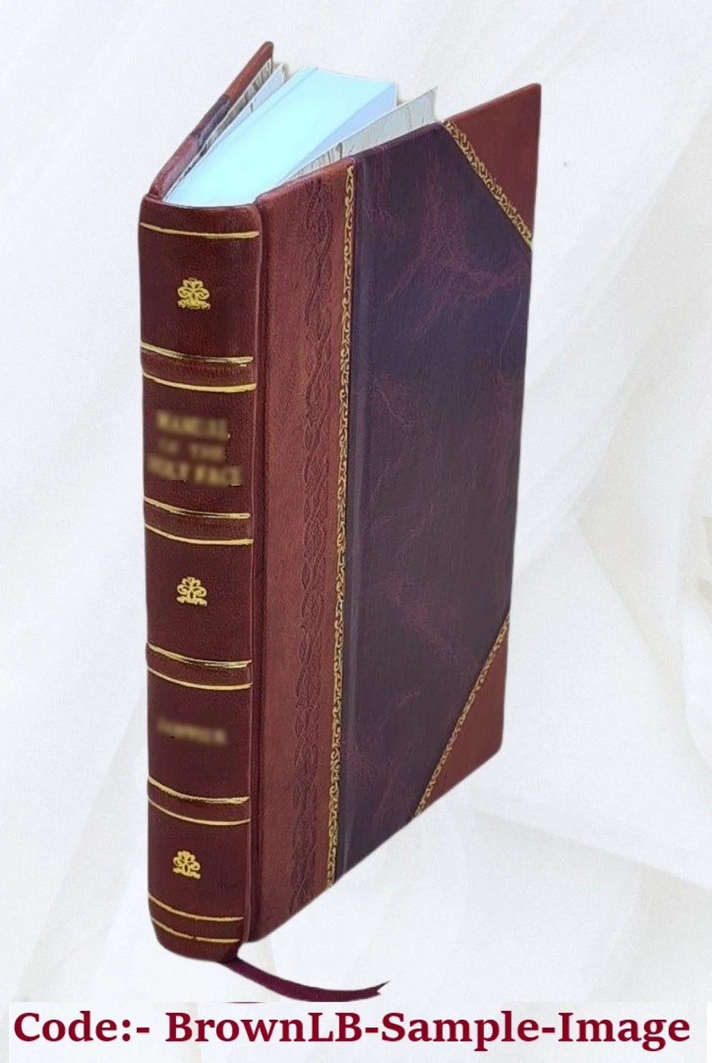 Clay Deposits of Woodbridge South Amboy New Jersey 1878 Leather Bound O953121