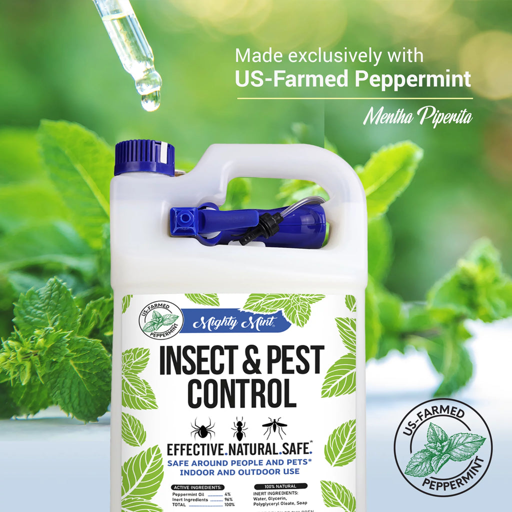 Peppermint Oil Insect & Pest Control Spray K210584