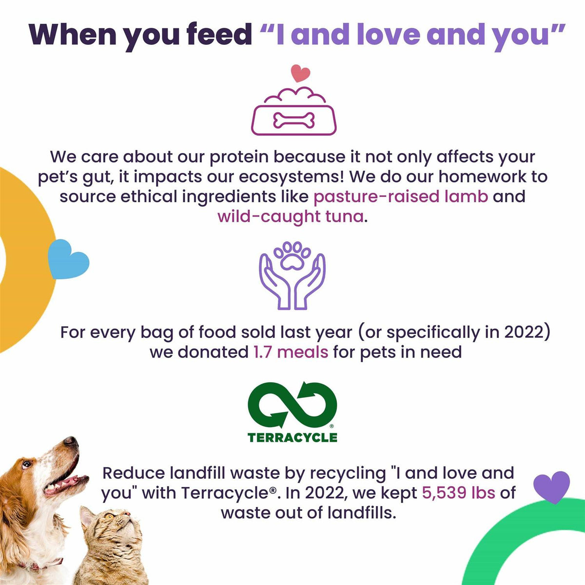 Grain Free Canned Cat Food I4928