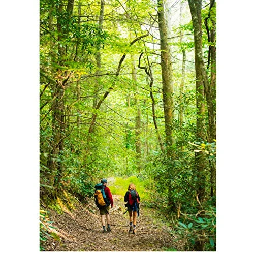 Charcoal Medium Hiker Crew Socks V5785