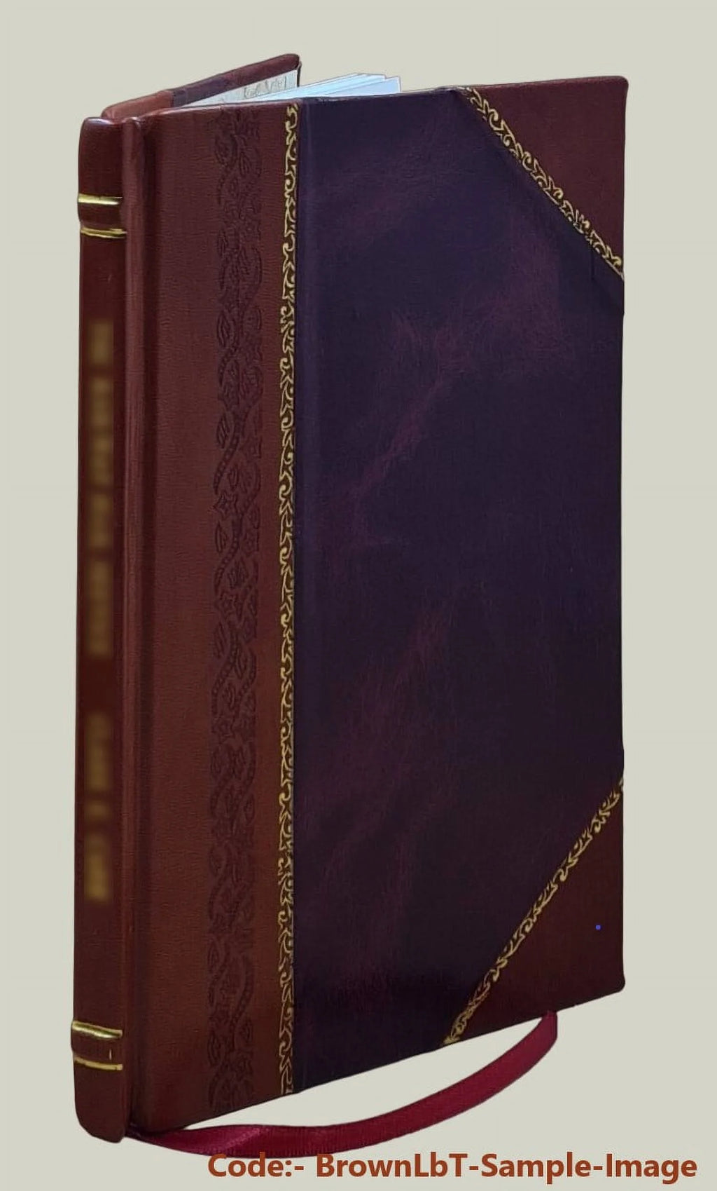 1922 Seed Catalogue Leather Bound X4336