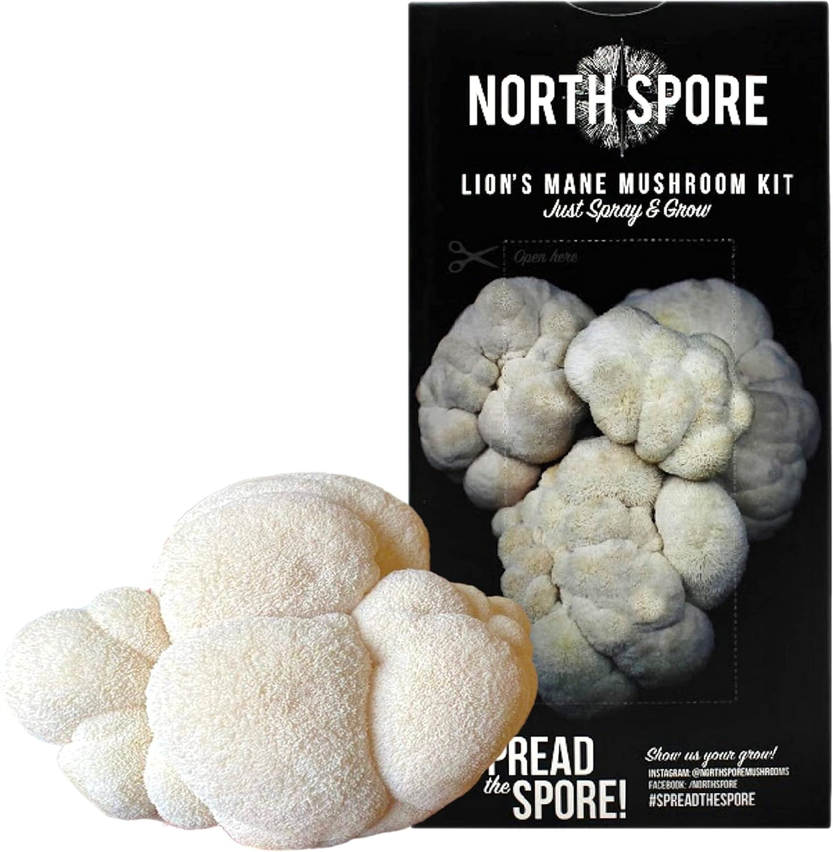 Organic Lion's Mane Mushroom Spray & Grow Kit (4 lbs) D49103