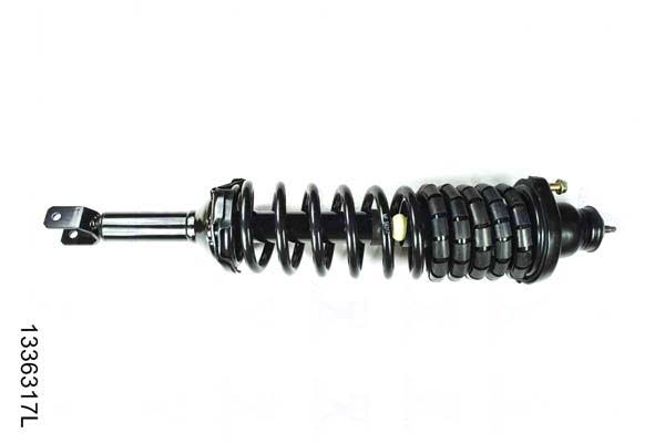 Strut and Coil Spring Assembly L124061