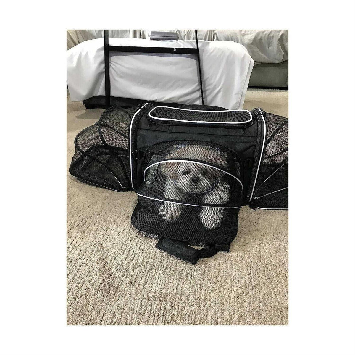 Soft Sided Pet Carrier 4 Expandable Collapsible G2793