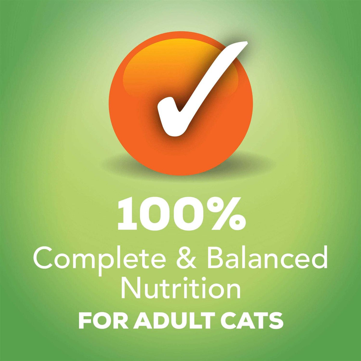 Indoor Wet Cat Food B88713