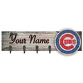 24x22 x 6x22 Mounted Coat Hanger H212