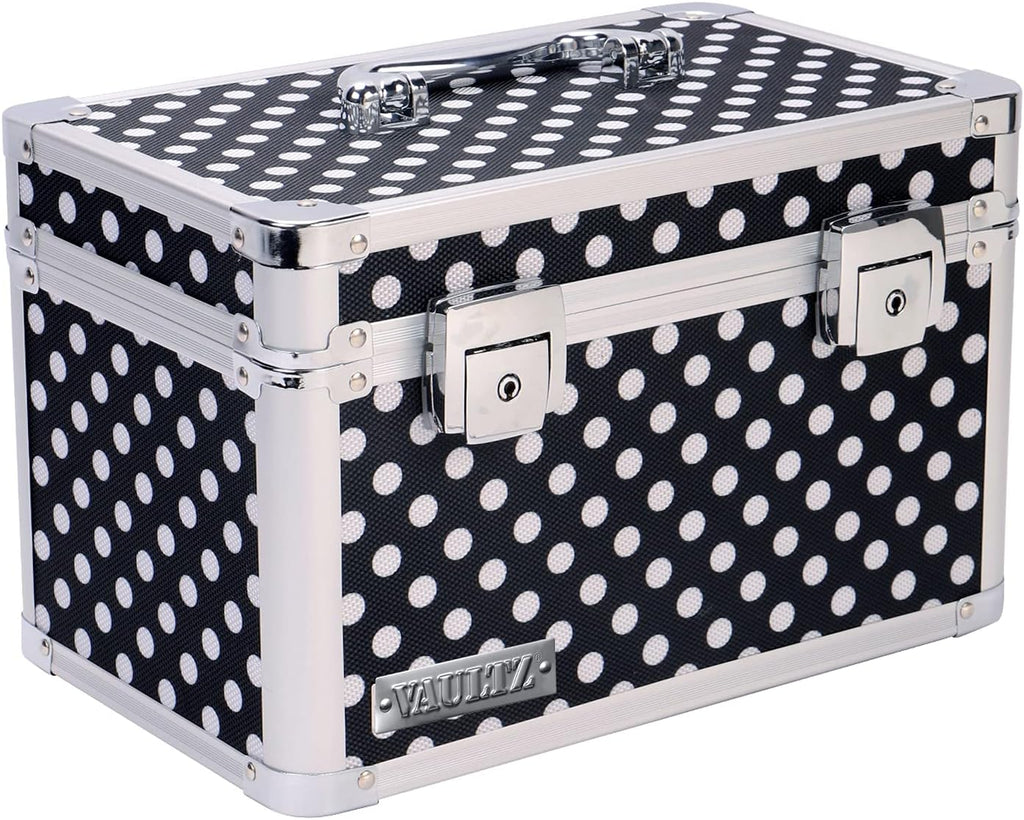 Black Medium Locking Storage Case with Dividers P664663