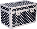 Black Medium Locking Storage Case with Dividers P664663