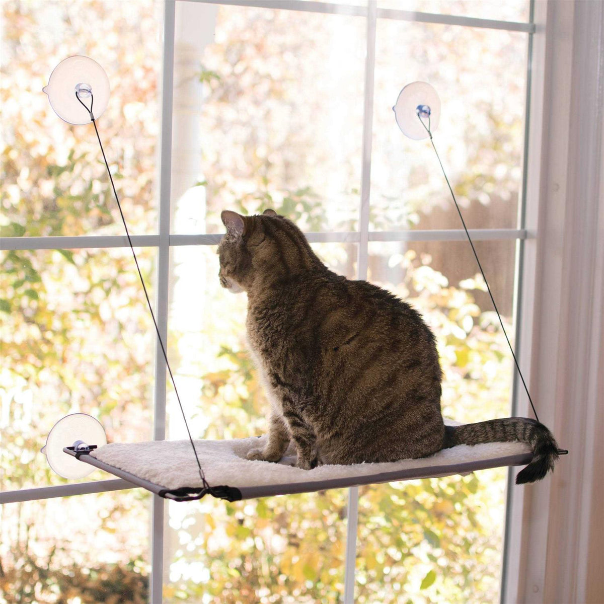 Cat Window Lounger A426