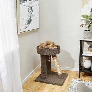 24-in Real Carpet Cat Scratching Perch with Toy K301