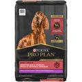 Dry Dog Food R4920