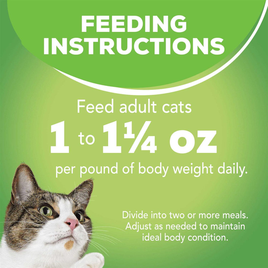 Indoor Wet Cat Food B88713