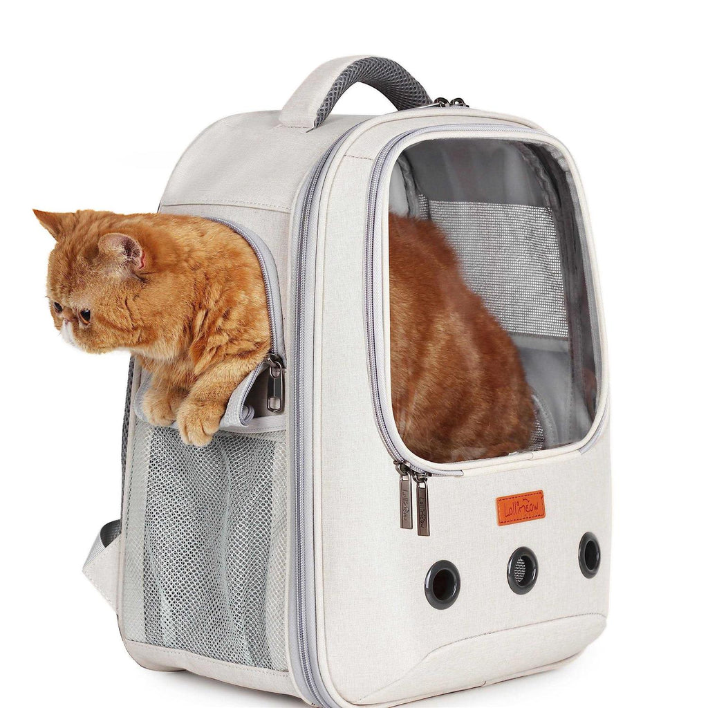 Pet Carrier Backpack C1238