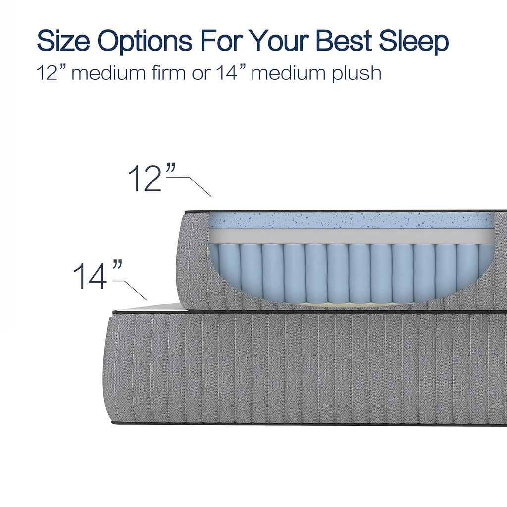 12" Medium Firm Hybrid Gel Memory Foam and Spring Mattress, King T769628