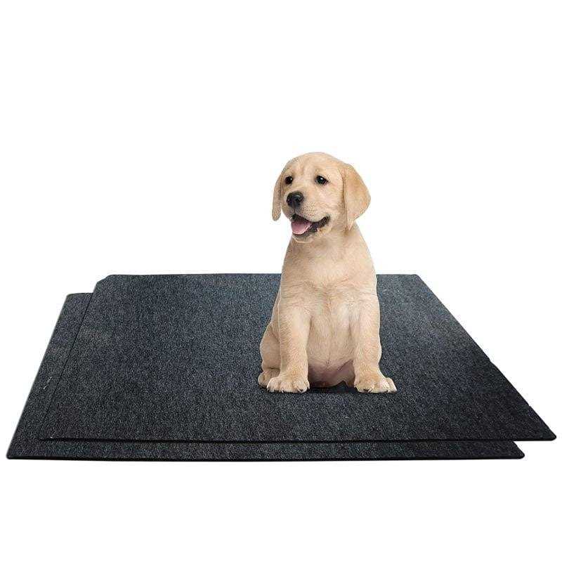 Washable Potty Pads K31910