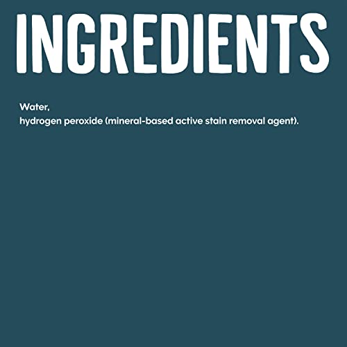 Non-Chlorine Bleach, 64 Fl Oz R87033