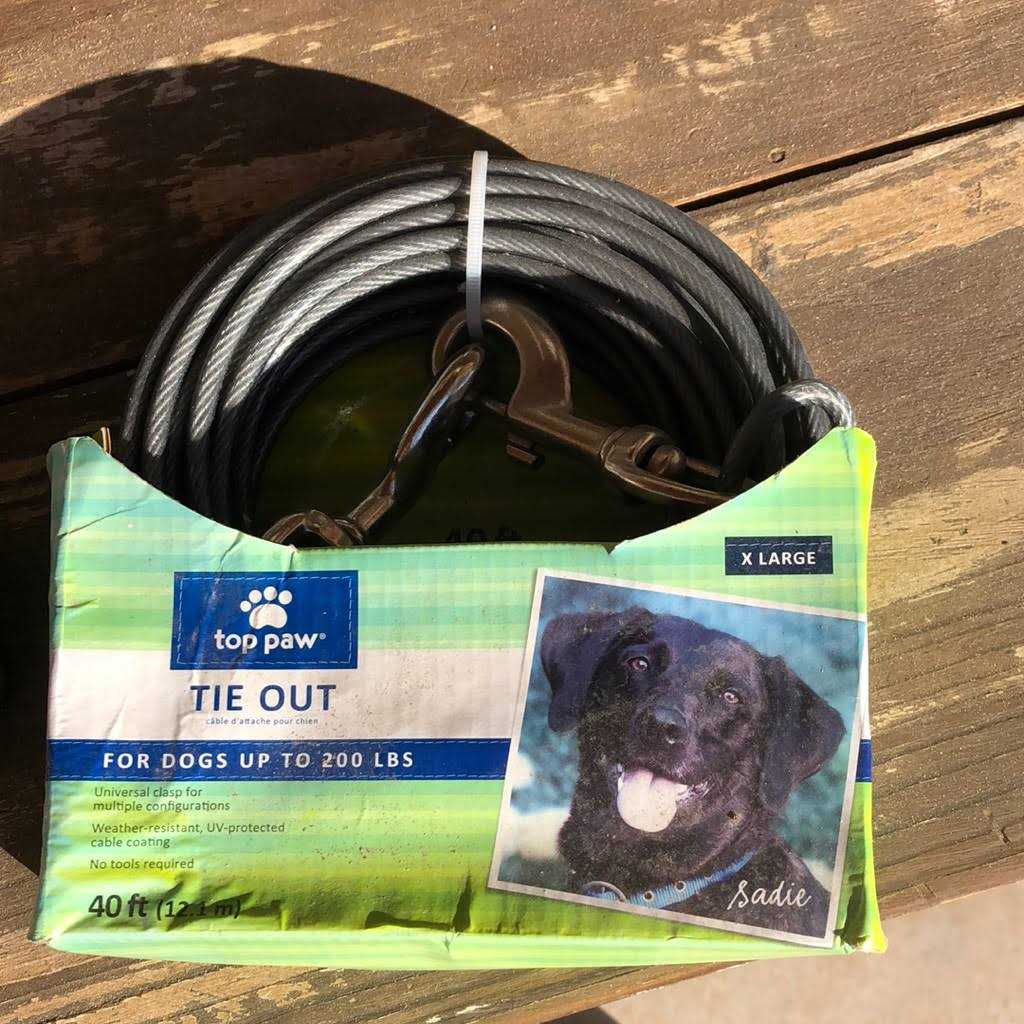 Dog Tie Out Q377338