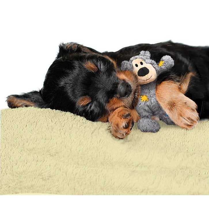 Bear Dog Toy A647