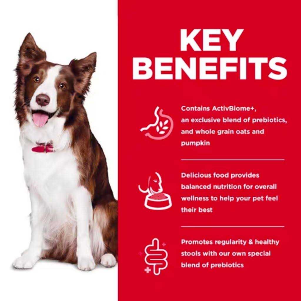 Adult Perfect Digestion Dog Food E116049
