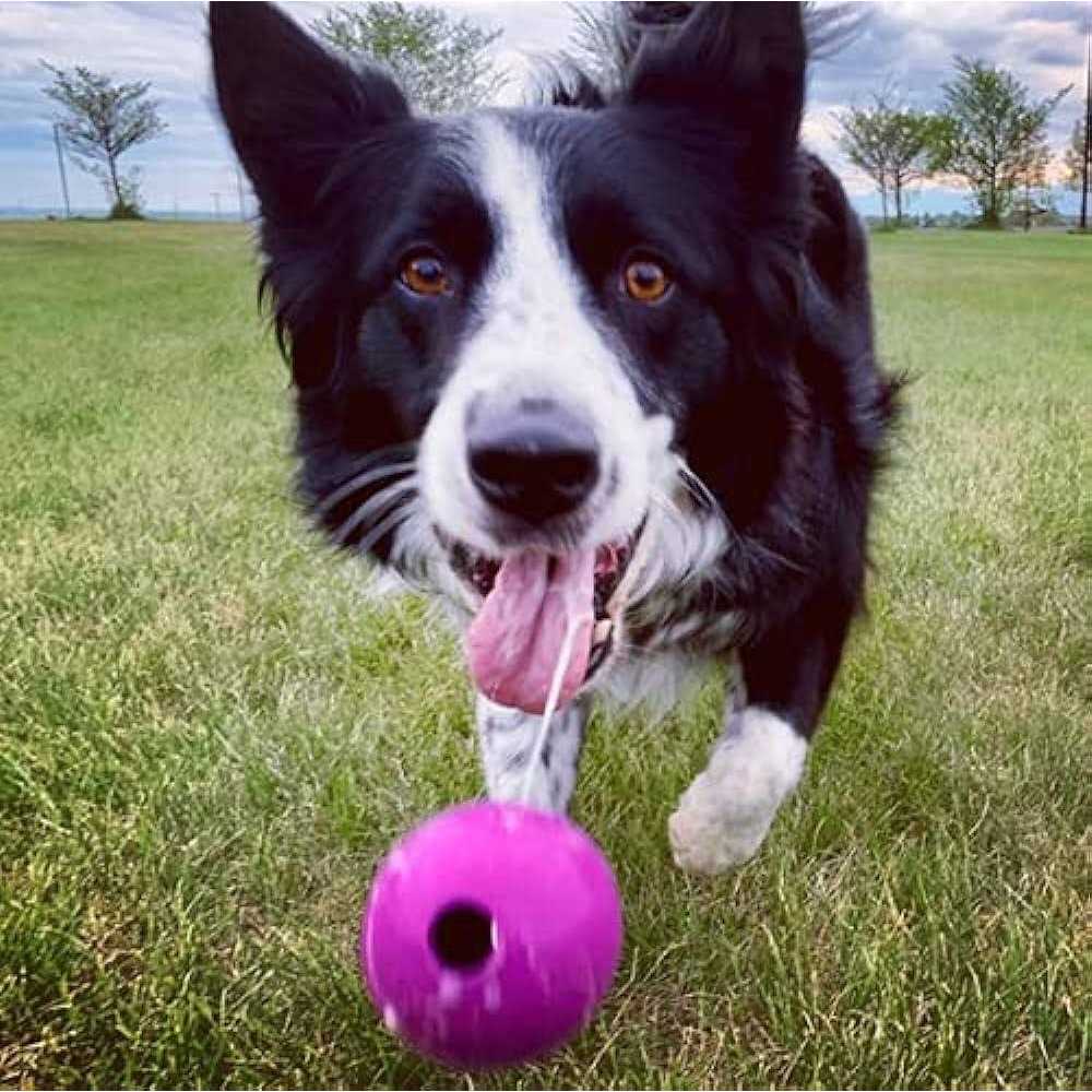 Natural Rubber Fetch Balls Toy A344252