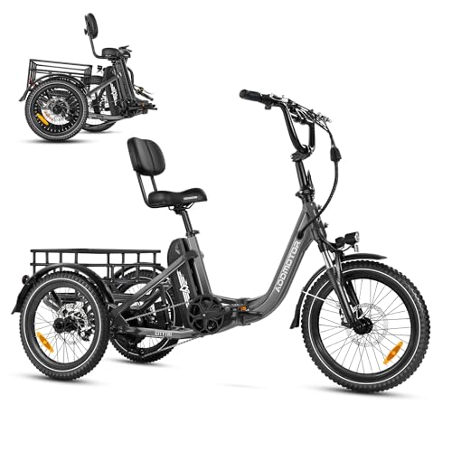 Folding Electric Tricycle, 750W, 48V 20Ah, 3 Wheel, Step Through, Parking Brake, Rear Motor & Differential P26091