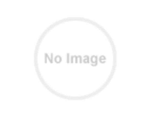 Vertical Cable Manager M417