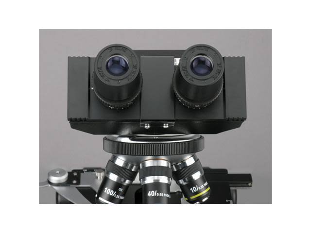 Biological Compound Microscope 40X-1600X Z193473