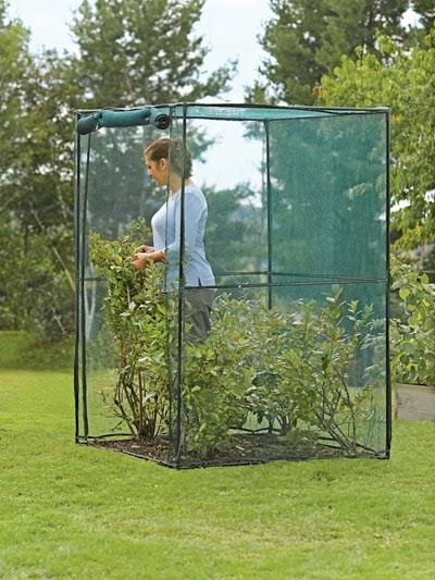 Crop Cage, 4 x 4 Plant Protection Tent H473136