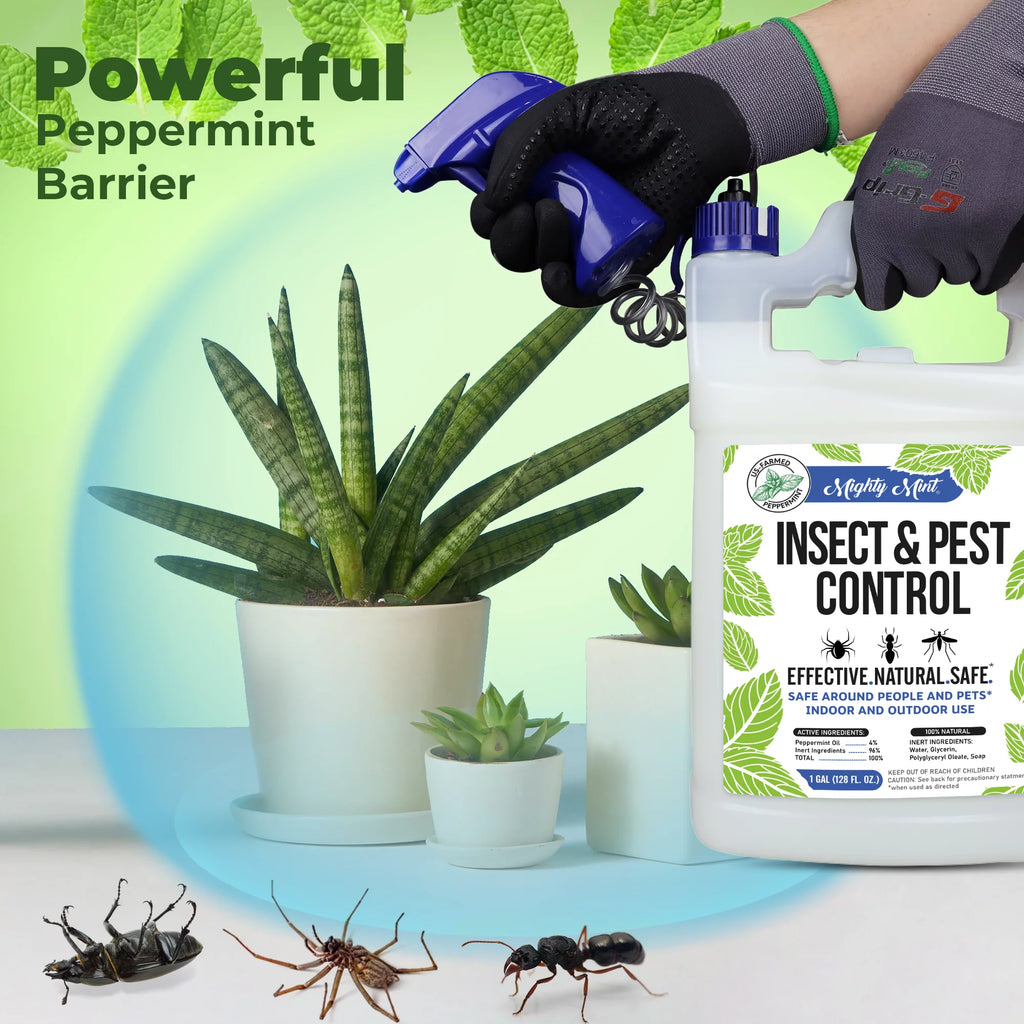 Peppermint Oil Insect & Pest Control Spray K210584