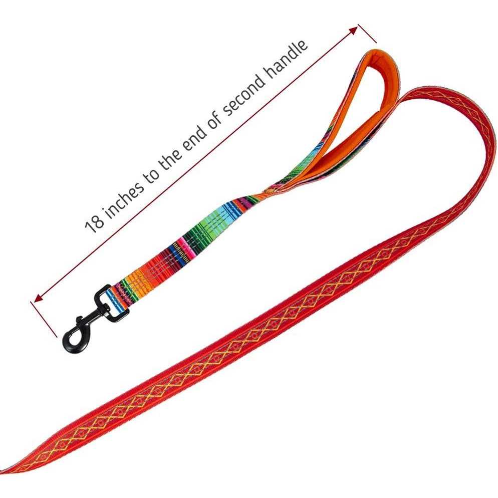 6ft Dog Leash Padded Handle L986671
