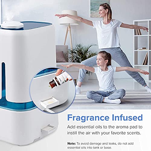4L Cool Mist Humidifier and Essential Oil Diffuser C235